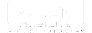 Mobilite